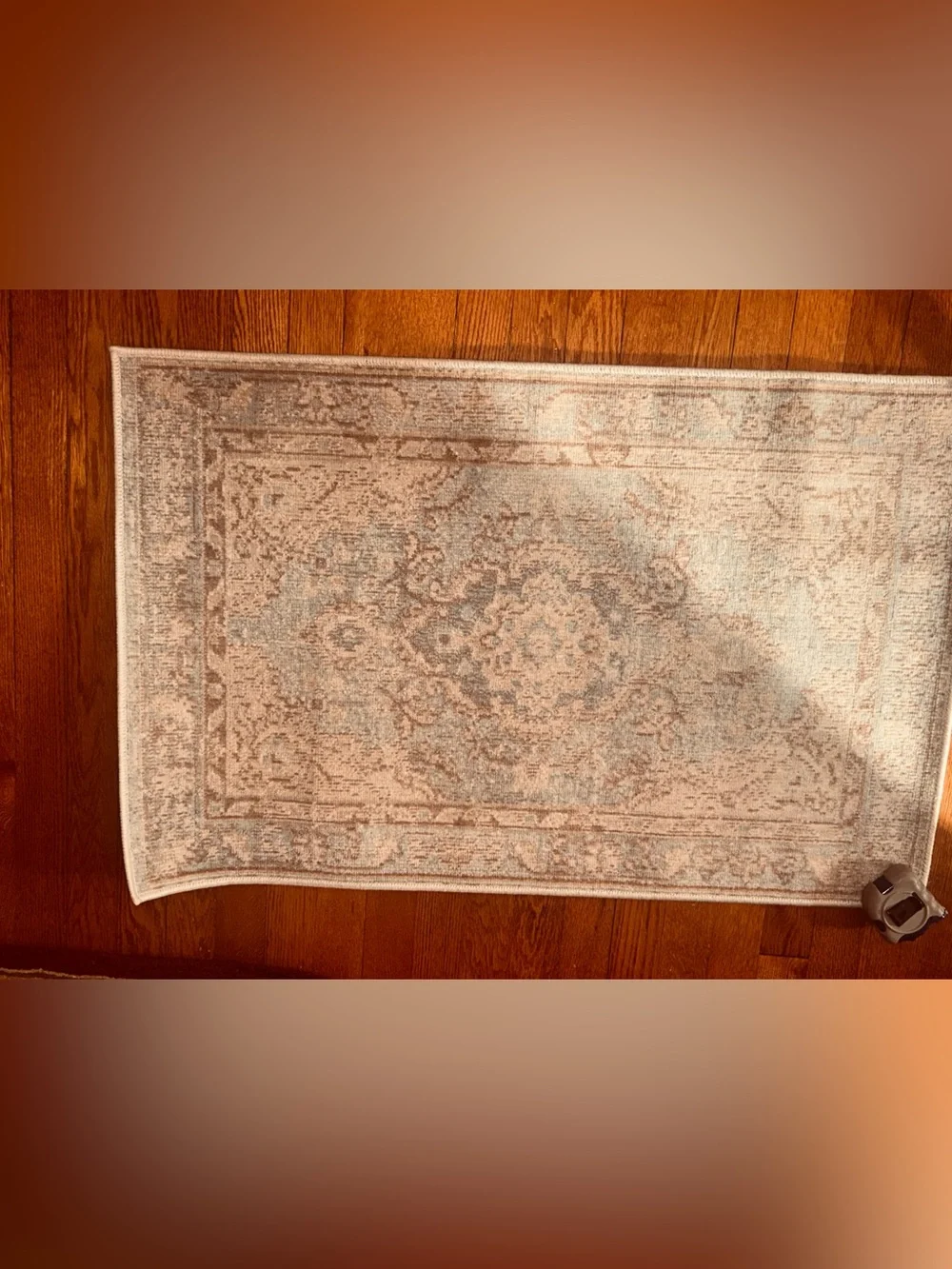 Classic Ivory and Light Blue Momeni Rug - Neutral Vintage Style 36”.x 23 1/2”